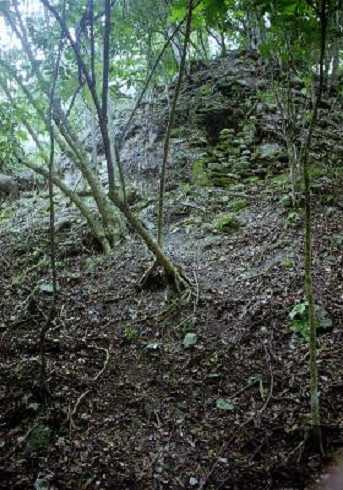 fb000877.jpg