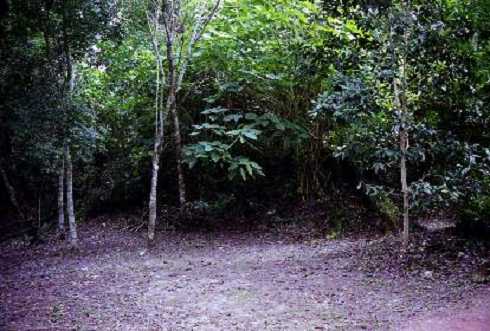 fb000892.jpg