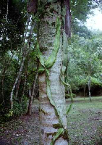 fb000898.jpg