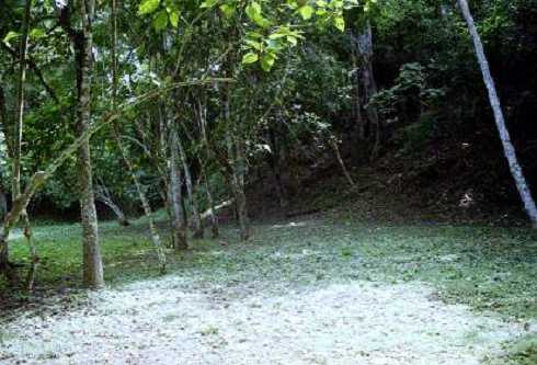 fb000905.jpg