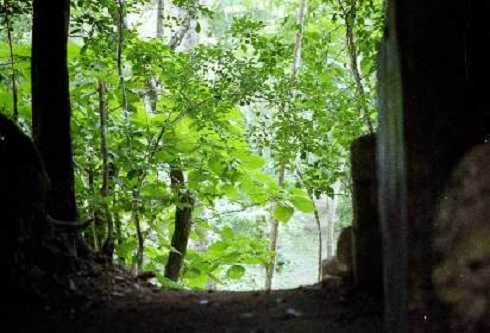 fb000909.jpg
