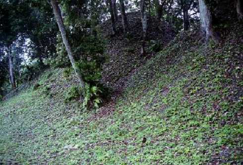 fb000950.jpg