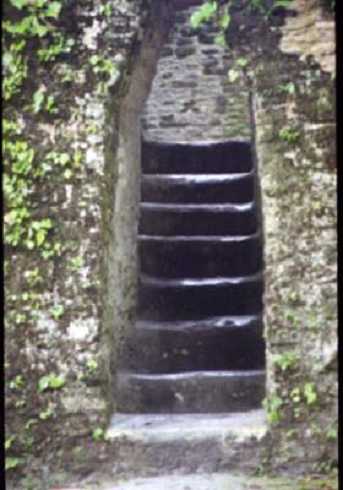 fb000964.jpg