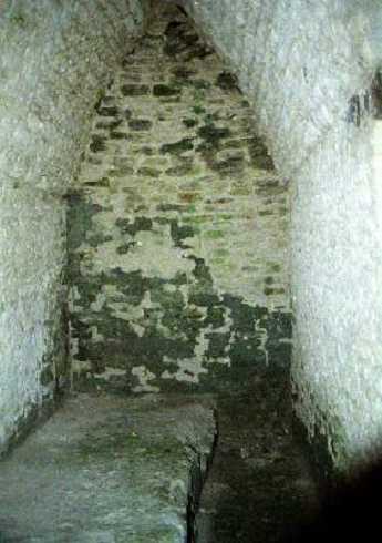 fb000965.jpg