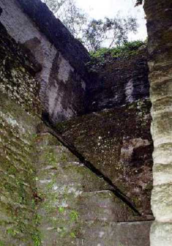 fb000967.jpg