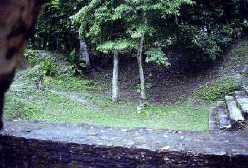 fb000975.jpg