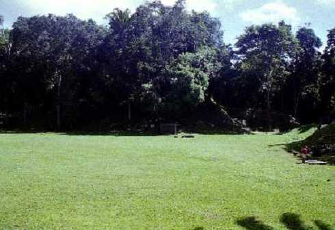 fb001003.jpg