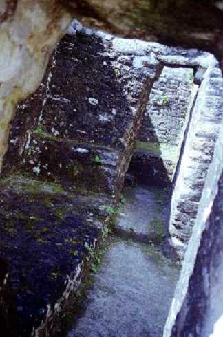 fb001004.jpg