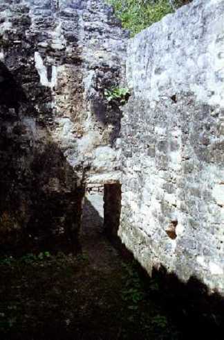fb001006.jpg