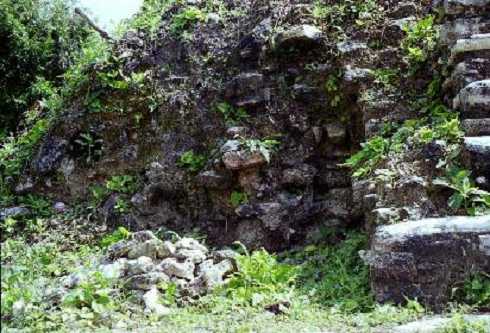fb001035.jpg
