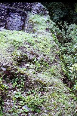 fb001041.jpg
