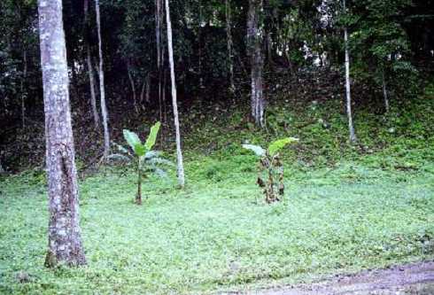 fb001076.jpg