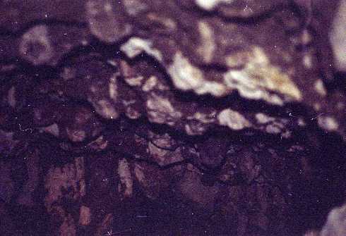 fb001187.jpg