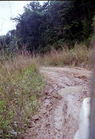 fb001193.jpg
