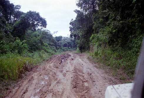 fb001194.jpg