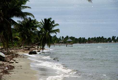 fc000154.jpg
