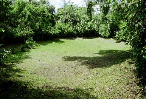 fc000219.jpg