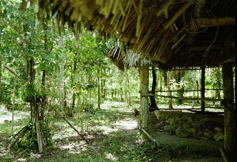 fc000233.jpg