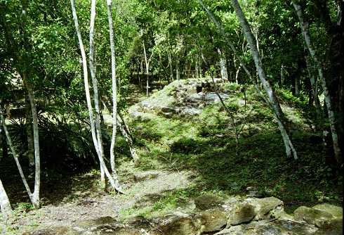 fc000238.jpg