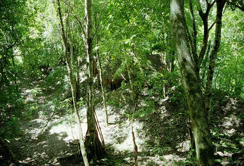 fc000261.jpg