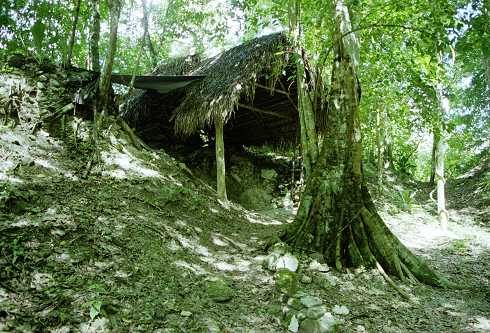 fc000265.jpg
