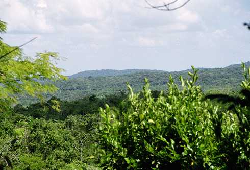 fc000275.jpg