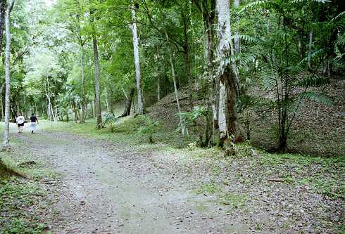 fc000355.jpg