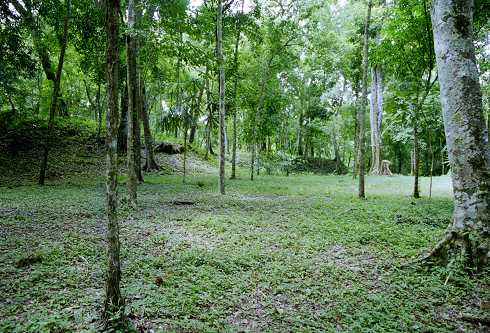 fc000357.jpg