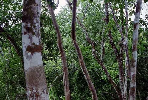 fc000364.jpg