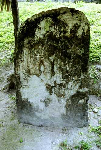 fc000386.jpg