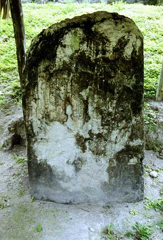 fc000387.jpg