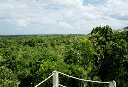 fc000418.jpg