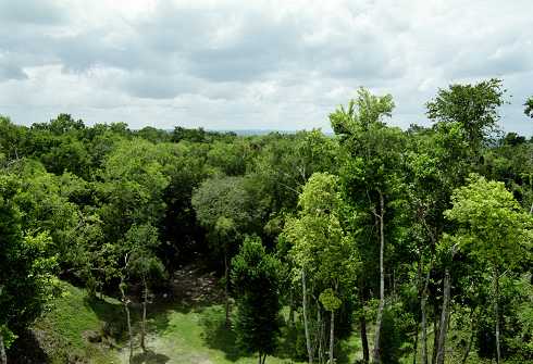fc000420.jpg