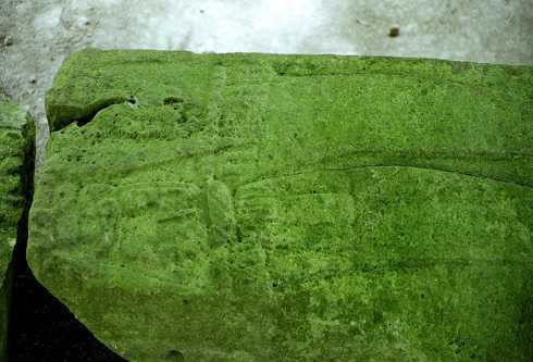 fc000427.jpg