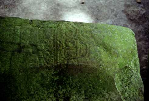 fc000428.jpg