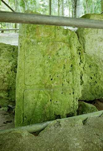 fc000444.jpg