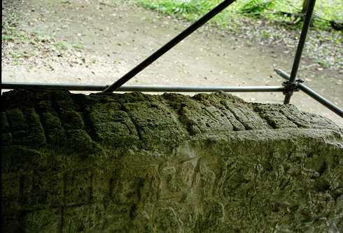 fc000450.jpg