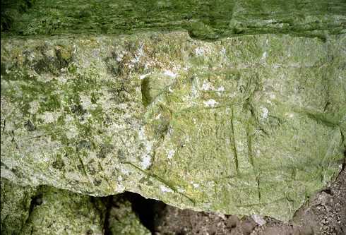 fc000451.jpg