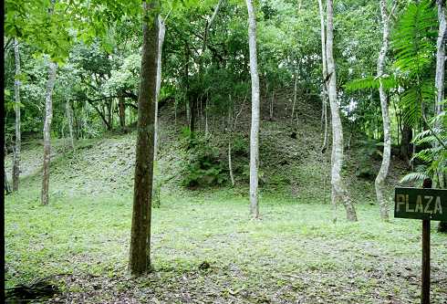 fc000453.jpg