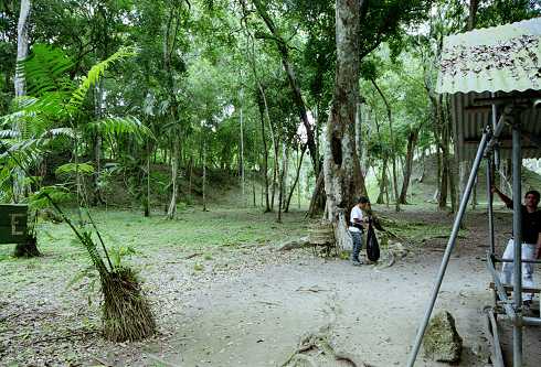 fc000454.jpg