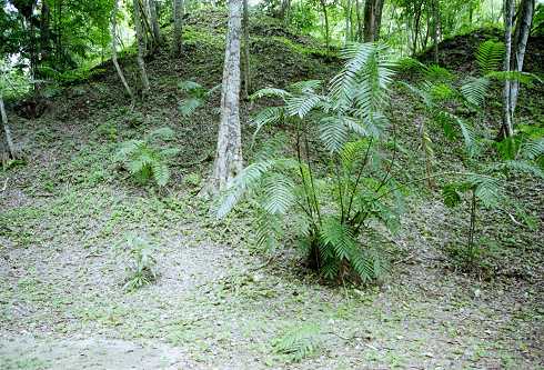 fc000456.jpg