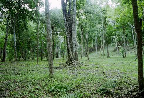 fc000458.jpg