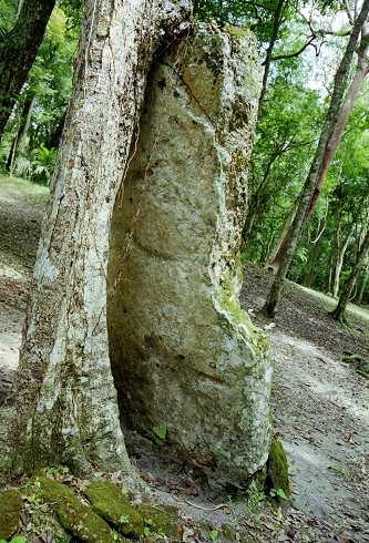 fc000460.jpg