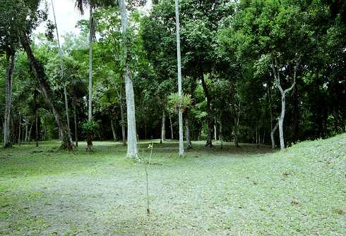 fc000480.jpg