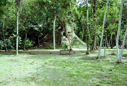 fc000483.jpg
