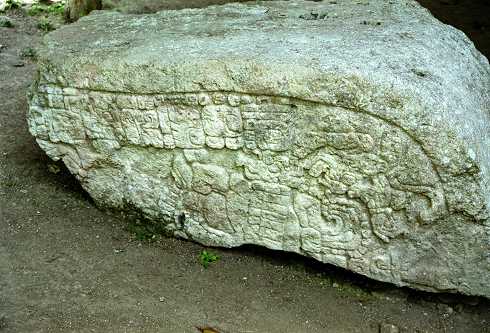 fc000484.jpg