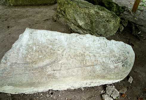 fc000486.jpg