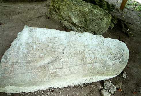 fc000487.jpg