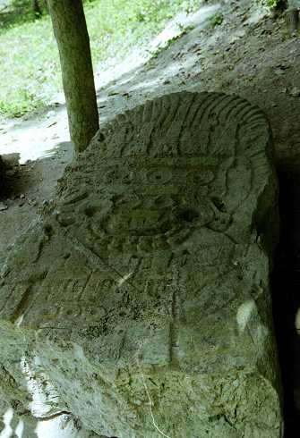 fc000503.jpg