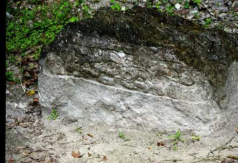 fc000539.jpg